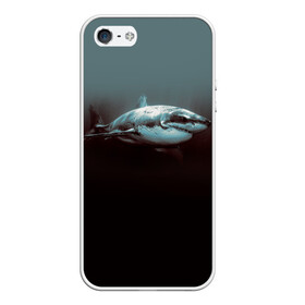 Чехол для iPhone 5/5S матовый с принтом Акула в Петрозаводске, Силикон | Область печати: задняя сторона чехла, без боковых панелей | акула | море | хищник