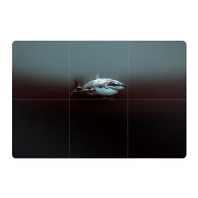 Магнитный плакат 3Х2 с принтом Акула в Петрозаводске, Полимерный материал с магнитным слоем | 6 деталей размером 9*9 см | акула | море | хищник