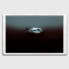 Магнит 45*70 с принтом Акула в Петрозаводске, Пластик | Размер: 78*52 мм; Размер печати: 70*45 | акула | море | хищник