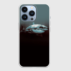 Чехол для iPhone 13 Pro с принтом Акула в Петрозаводске,  |  | акула | море | хищник