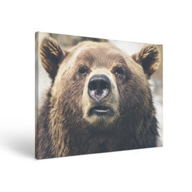 Холст прямоугольный с принтом Русский медведь в Петрозаводске, 100% ПВХ |  | медведь | россия | русский | символ | ссср