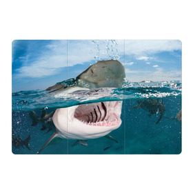 Магнитный плакат 3Х2 с принтом Хищная акула в Петрозаводске, Полимерный материал с магнитным слоем | 6 деталей размером 9*9 см | акула | море | океан | природа | хищник