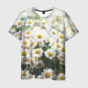 Мужская футболка 3D с принтом Полевые ромашки в Петрозаводске, 100% полиэфир | прямой крой, круглый вырез горловины, длина до линии бедер | природа | ромашка | цветок | цветы