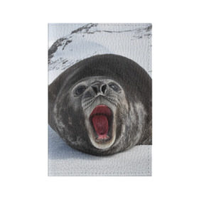 Обложка для паспорта матовая кожа с принтом Морской тюлень в Петрозаводске, натуральная матовая кожа | размер 19,3 х 13,7 см; прозрачные пластиковые крепления | животное | зима | море | океан | снег | тюлень
