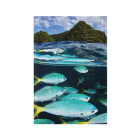 Обложка для паспорта матовая кожа с принтом Подводный мир в Петрозаводске, натуральная матовая кожа | размер 19,3 х 13,7 см; прозрачные пластиковые крепления | вода | море | океан | природа | рыба | рыбы