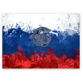 Поздравительная открытка с принтом Акула в Петрозаводске, 100% бумага | плотность бумаги 280 г/м2, матовая, на обратной стороне линовка и место для марки
 | плавание | россия | русский | спорт
