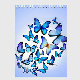 Скетчбук с принтом Бабочки в Петрозаводске, 100% бумага
 | 48 листов, плотность листов — 100 г/м2, плотность картонной обложки — 250 г/м2. Листы скреплены сверху удобной пружинной спиралью | 8 марта | бабочки | девушкам | подарок