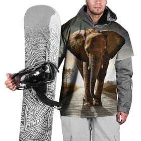Накидка на куртку 3D с принтом Дикий слон в Петрозаводске, 100% полиэстер |  | слон