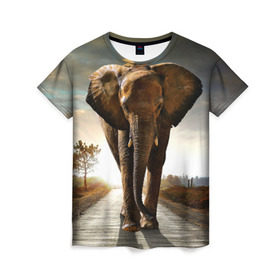 Женская футболка 3D с принтом Дикий слон в Петрозаводске, 100% полиэфир ( синтетическое хлопкоподобное полотно) | прямой крой, круглый вырез горловины, длина до линии бедер | слон