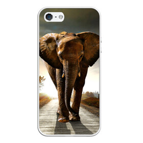 Чехол для iPhone 5/5S матовый с принтом Дикий слон в Петрозаводске, Силикон | Область печати: задняя сторона чехла, без боковых панелей | слон