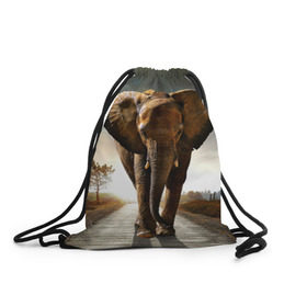 Рюкзак-мешок 3D с принтом Дикий слон в Петрозаводске, 100% полиэстер | плотность ткани — 200 г/м2, размер — 35 х 45 см; лямки — толстые шнурки, застежка на шнуровке, без карманов и подкладки | слон