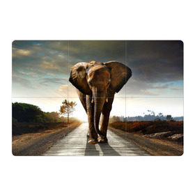 Магнитный плакат 3Х2 с принтом Дикий слон в Петрозаводске, Полимерный материал с магнитным слоем | 6 деталей размером 9*9 см | слон