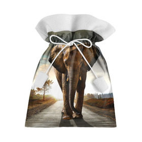 Подарочный 3D мешок с принтом Дикий слон в Петрозаводске, 100% полиэстер | Размер: 29*39 см | слон