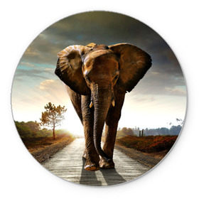Коврик круглый с принтом Дикий слон в Петрозаводске, резина и полиэстер | круглая форма, изображение наносится на всю лицевую часть | слон