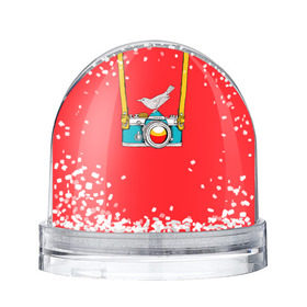 Снежный шар с принтом Фотоаппарат с птичкой в Петрозаводске, Пластик | Изображение внутри шара печатается на глянцевой фотобумаге с двух сторон | camera | зеркалка | камера | птичка | фотик | фото | фотоаппарат | фотографировать