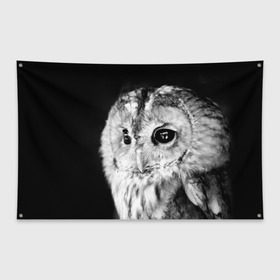 Флаг-баннер с принтом Сова в Петрозаводске, 100% полиэстер | размер 67 х 109 см, плотность ткани — 95 г/м2; по краям флага есть четыре люверса для крепления | ночь | ночьная | птица | сова | фото | хищник | черно белое