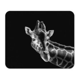 Коврик прямоугольный с принтом Жираф в Петрозаводске, натуральный каучук | размер 230 х 185 мм; запечатка лицевой стороны | африка | животное | жираф | фон | фото | черно белое | черный