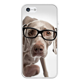 Чехол силиконовый для Телефон Apple iPhone 5/5S с принтом Собака в очках в Петрозаводске, Силикон | Область печати: задняя сторона чехла, без боковых панелей | в очках | дог | животное | очки | прикол | пятнистый | собака | щенок