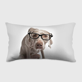 Подушка 3D антистресс с принтом Собака в очках в Петрозаводске, наволочка — 100% полиэстер, наполнитель — вспененный полистирол | состоит из подушки и наволочки на молнии | в очках | дог | животное | очки | прикол | пятнистый | собака | щенок