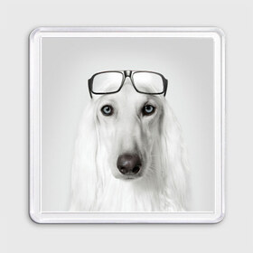 Магнит 55*55 с принтом Собака в очках в Петрозаводске, Пластик | Размер: 65*65 мм; Размер печати: 55*55 мм | афганская | белая | борзая | в очках | животное | очки | прикол | собака