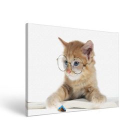 Холст прямоугольный с принтом Кот в очках в Петрозаводске, 100% ПВХ |  | домашнее | животное | книга | кот | кот в очках | котэ | очки | прикол | умный | ученый | читает