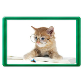 Магнит 45*70 с принтом Кот в очках в Петрозаводске, Пластик | Размер: 78*52 мм; Размер печати: 70*45 | домашнее | животное | книга | кот | кот в очках | котэ | очки | прикол | умный | ученый | читает