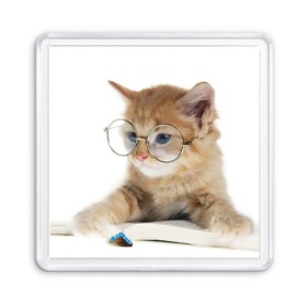 Магнит 55*55 с принтом Кот в очках в Петрозаводске, Пластик | Размер: 65*65 мм; Размер печати: 55*55 мм | домашнее | животное | книга | кот | кот в очках | котэ | очки | прикол | умный | ученый | читает