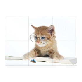 Магнитный плакат 3Х2 с принтом Кот в очках в Петрозаводске, Полимерный материал с магнитным слоем | 6 деталей размером 9*9 см | Тематика изображения на принте: домашнее | животное | книга | кот | кот в очках | котэ | очки | прикол | умный | ученый | читает