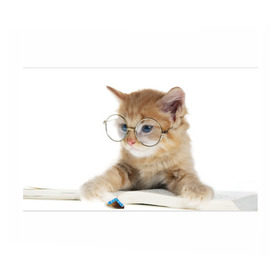 Бумага для упаковки 3D с принтом Кот в очках в Петрозаводске, пластик и полированная сталь | круглая форма, металлическое крепление в виде кольца | Тематика изображения на принте: домашнее | животное | книга | кот | кот в очках | котэ | очки | прикол | умный | ученый | читает