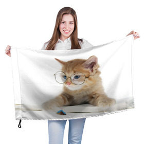 Флаг 3D с принтом Кот в очках в Петрозаводске, 100% полиэстер | плотность ткани — 95 г/м2, размер — 67 х 109 см. Принт наносится с одной стороны | домашнее | животное | книга | кот | кот в очках | котэ | очки | прикол | умный | ученый | читает