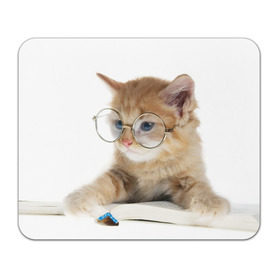 Коврик прямоугольный с принтом Кот в очках в Петрозаводске, натуральный каучук | размер 230 х 185 мм; запечатка лицевой стороны | Тематика изображения на принте: домашнее | животное | книга | кот | кот в очках | котэ | очки | прикол | умный | ученый | читает