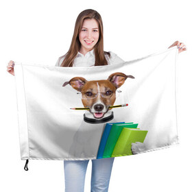 Флаг 3D с принтом Ученый пес в Петрозаводске, 100% полиэстер | плотность ткани — 95 г/м2, размер — 67 х 109 см. Принт наносится с одной стороны | домашнее | животное | карандаш | книги | очки | ошейник | пес | прикол | собака в очках | умный | ученый