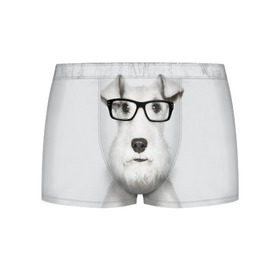 Мужские трусы 3D с принтом Собака в очках в Петрозаводске, 50% хлопок, 50% полиэстер | классическая посадка, на поясе мягкая тканевая резинка | белый | домашнее | животное | очки | пес | прикол | собака в очках | умный | ученый | эрдельтерьер
