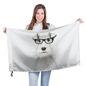 Флаг 3D с принтом Собака в очках в Петрозаводске, 100% полиэстер | плотность ткани — 95 г/м2, размер — 67 х 109 см. Принт наносится с одной стороны | белый | домашнее | животное | очки | пес | прикол | собака в очках | умный | ученый | эрдельтерьер