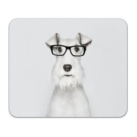 Коврик прямоугольный с принтом Собака в очках в Петрозаводске, натуральный каучук | размер 230 х 185 мм; запечатка лицевой стороны | Тематика изображения на принте: белый | домашнее | животное | очки | пес | прикол | собака в очках | умный | ученый | эрдельтерьер