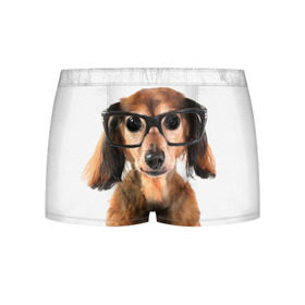 Мужские трусы 3D с принтом Собака в очках в Петрозаводске, 50% хлопок, 50% полиэстер | классическая посадка, на поясе мягкая тканевая резинка | Тематика изображения на принте: домашнее | животное | очки | пес | прикол | собака в очках | умный | ученый
