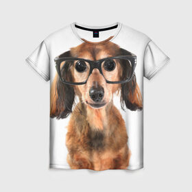Женская футболка 3D с принтом Собака в очках в Петрозаводске, 100% полиэфир ( синтетическое хлопкоподобное полотно) | прямой крой, круглый вырез горловины, длина до линии бедер | домашнее | животное | очки | пес | прикол | собака в очках | умный | ученый