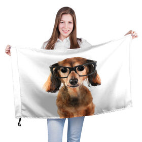 Флаг 3D с принтом Собака в очках в Петрозаводске, 100% полиэстер | плотность ткани — 95 г/м2, размер — 67 х 109 см. Принт наносится с одной стороны | домашнее | животное | очки | пес | прикол | собака в очках | умный | ученый