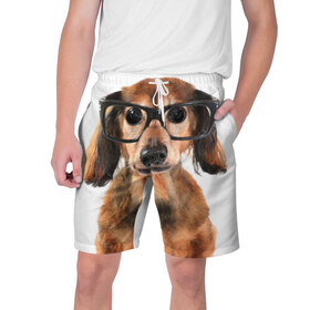 Мужские шорты 3D с принтом Собака в очках в Петрозаводске,  полиэстер 100% | прямой крой, два кармана без застежек по бокам. Мягкая трикотажная резинка на поясе, внутри которой широкие завязки. Длина чуть выше колен | домашнее | животное | очки | пес | прикол | собака в очках | умный | ученый