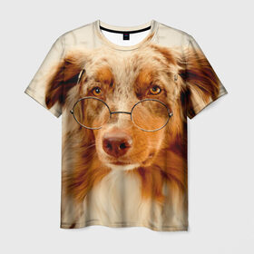 Мужская футболка 3D с принтом Собака в очках в Петрозаводске, 100% полиэфир | прямой крой, круглый вырез горловины, длина до линии бедер | домашнее | животное | очки | пес | прикол | собака в очках | умный | ученый