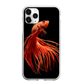 Чехол для iPhone 11 Pro матовый с принтом Бойцовая рыбка в Петрозаводске, Силикон |  | аквариумная | бойцовая | красивый | плавники | рыба | рыбка | хвост | япаонская