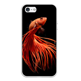 Чехол для iPhone 5/5S матовый с принтом Бойцовая рыбка в Петрозаводске, Силикон | Область печати: задняя сторона чехла, без боковых панелей | аквариумная | бойцовая | красивый | плавники | рыба | рыбка | хвост | япаонская
