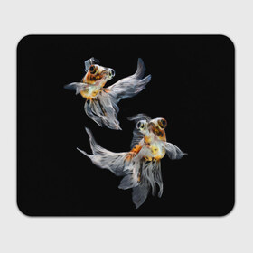 Коврик прямоугольный с принтом Бойцовая рыбка в Петрозаводске, натуральный каучук | размер 230 х 185 мм; запечатка лицевой стороны | аквариумная | бойцовая | красивый | плавники | рыба | рыбка | хвост | япаонская