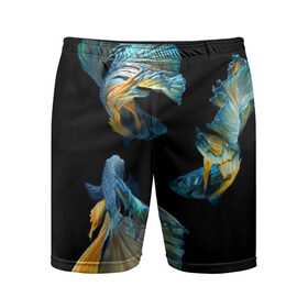 Мужские шорты 3D спортивные с принтом Бойцовая рыбка в Петрозаводске,  |  | аквариумная | бойцовая | красивый | плавники | рыба | рыбка | хвост | япаонская
