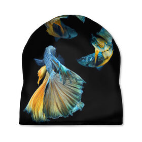 Шапка 3D с принтом Бойцовая рыбка в Петрозаводске, 100% полиэстер | универсальный размер, печать по всей поверхности изделия | аквариумная | бойцовая | красивый | плавники | рыба | рыбка | хвост | япаонская