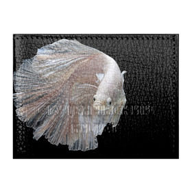 Обложка для студенческого билета с принтом Бойцовая рыбка в Петрозаводске, натуральная кожа | Размер: 11*8 см; Печать на всей внешней стороне | Тематика изображения на принте: аквариумная | бойцовая | красивый | плавники | рыба | рыбка | хвост | япаонская