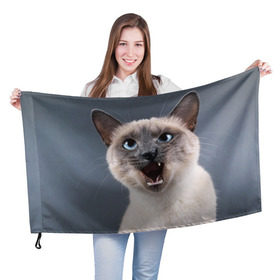 Флаг 3D с принтом Злой кот в Петрозаводске, 100% полиэстер | плотность ткани — 95 г/м2, размер — 67 х 109 см. Принт наносится с одной стороны | взгляд | домашнее | животное | злой | зубы | клыки | кот | котэ | кошка | оскал | сеамский