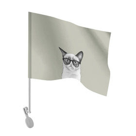 Флаг для автомобиля с принтом Кот - хипстер в Петрозаводске, 100% полиэстер | Размер: 30*21 см | cat | hipster | кот | кошка | хипстер