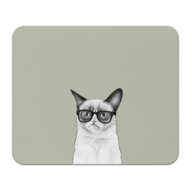 Коврик прямоугольный с принтом Кот - хипстер в Петрозаводске, натуральный каучук | размер 230 х 185 мм; запечатка лицевой стороны | Тематика изображения на принте: cat | hipster | кот | кошка | хипстер