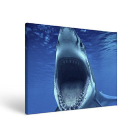 Холст прямоугольный с принтом Белая акула в Петрозаводске, 100% ПВХ |  | shark | море | синий